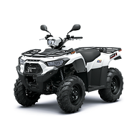 Kawasaki Kawasaki Brute Force 450 T3B