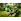 Avant Timmergrip HD B: 854mm H: 990mm