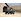 Kawasaki Kawasaki MULE SX FI 4x4 Traktor A 2027